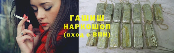 индика Алзамай