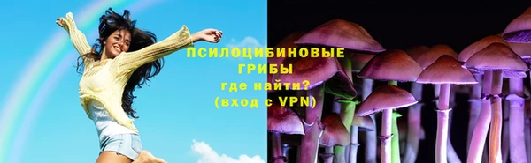 первитин Алексеевка