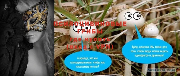 индика Алзамай