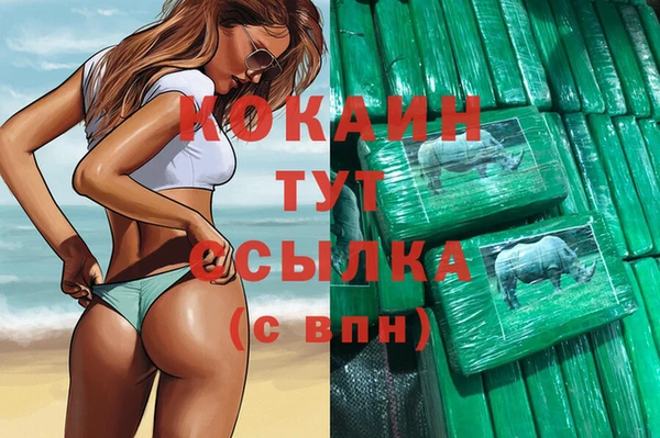 индика Алзамай