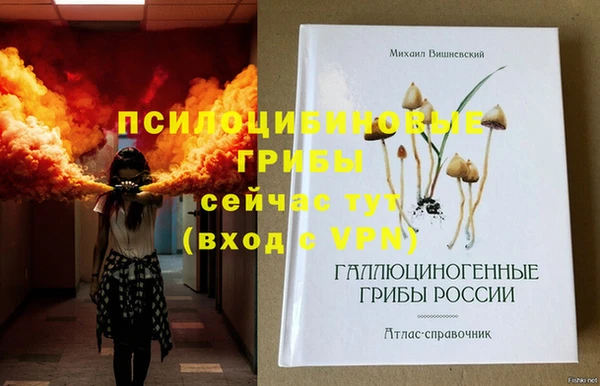 первитин Алексеевка
