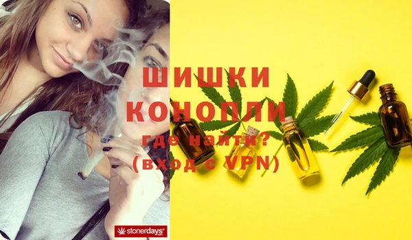 индика Алзамай