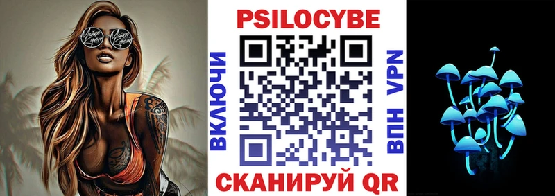 магазин продажи   Каневская  блэк спрут зеркало  Галлюциногенные грибы Psilocybe 